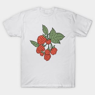 Raspberries T-Shirt